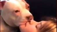 Köpekle Öpüşen Kadın