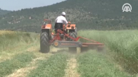 Cumhurbaşkanı Erdoğan'ın Müjdeleri Çiftçiyi Sevindirdi 