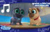 Bingo ve Roli'nin Maceraları - Sevimli Köpeklerden Eğlenceli Şarkılar
