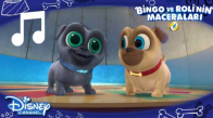 Bingo ve Roli'nin Maceraları - Sevimli Köpeklerden Eğlenceli Şarkılar