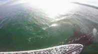 Sörfçünün Katil Balinayla Yüzmesi