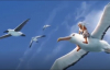 Soner Canözer - Albatros Süvarisi (Kitap Teaser)