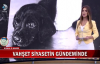 Yavru Köpeğe Yapılanlar'la Alakalı Bir Kişi Yakalandı Son Dakika Haber
