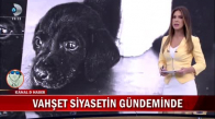 Yavru Köpeğe Yapılanlar'la Alakalı Bir Kişi Yakalandı Son Dakika Haber