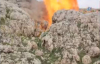 Herekol Dağı'nda PKK'nın Kullandığı 38 Mağara İmha Edildi