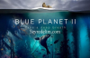 Blue Planet II 1. Sezon 1. Bölüm İzle