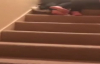 Merdivenlerden Süzülen Sarhoş Kız 