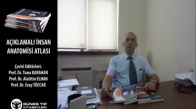 Prof. Dr. S. Tuna Karahan-Lippincott Açıklamalı İnsan Anatomisi Atlası