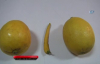 Biber Görünümlü Limon
