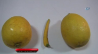 Biber Görünümlü Limon