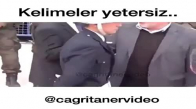 Yaşlı Adamın Feryatları