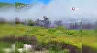 İzmir'de iki ilçede orman yangını 