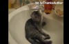 Banyo Yapmayı Seven Kediler