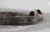 Rusya'da Sokak Köpeği Buzlu Gölete Düştü.