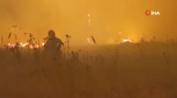 Rusya'daki orman yangınları yerleşim alanlarına sıçradı 