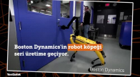 Boston Dynamics'in Robot Köpeği Seri Üretime Geçiyor