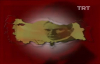 Gazi Mustafa Kemal Atatürk 1.Bölüm