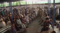 Afgan mülteciler dönmeye zorlanıyor 