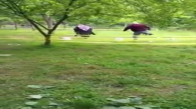 Çocuklarının Bahçeye Kurdukları Survivor Parkurunda Yarışan 72 Yaşındaki Dede ile Eşi
