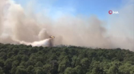 Fransa'daki orman yangınlarında yaklaşık 4 bin hektar alan kül oldu 