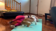 Sahibinin Yoga Yapmasına Engel Olan Köpek 