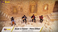 Şiyar Ü Dijwar - Here Dilber