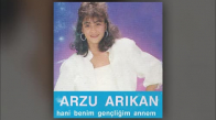 Arzu Arıkan - Gidin Sorun 