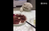 Yemek Tırtıklamaya Çalışan Kedi