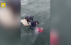 Donan Nehre Düşen Kadının Ölümden Kurtulması
