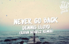 Dennis Lloyd - Never Go Back (Robin Schulz Remix)