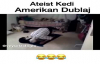 Ateist Kedi - Amerikan Dublaj