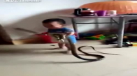 Yılanla Oyun Oynayan Minik Çocuk
