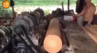 Ağacı Çarşaf Gibi Kesen Makine