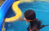 Piton Yılanıyla Havuzda Yüzen Küçük Kız