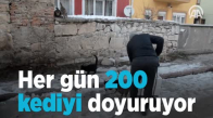 Her Gün 200 Kediyi Doyuran Öğrenci