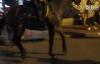 Dans Eden Polis Atı