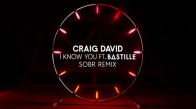 Craig David - I Know You Sobr Remix Ft. Bastille