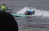 Sörf Yapan Köpekler