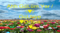 Tolga Özkan GüLüm Yar⊰❀⊱GüLbiye♥Orhan⊰❀⊱