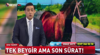 Tek beygir ama son sürat!