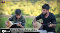 Şiyar ü Dijwar - Dilbere Dilber