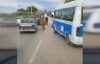 Ana yola inen inekler araç sürücülerine zor anlar yaşattı 