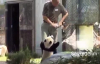 Panda Bebek Acıkınca