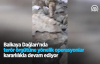Balkaya Dağları'nda Terör Örgütüne Yönelik Operasyonlar Kararlılıkla Devam Ediyor