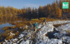 Karlı Moğolistan'da Ren Geyiği ile Çobanlık