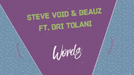 Steve Void & Beauz - Words (Ft Bri Tolani)