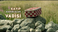 TRT Çocuk Sineması - Kayıp Karıncalar Vadisi