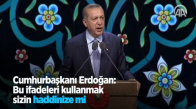 Cumhurbaşkanı Erdoğan: Bu İfadeleri Kullanmak Sizin Haddinize Mi