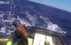 Orkinos Balığının Balıkçıyı Sürüklemesi