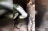 Hakkari'de PKK'ya Ait 125 Metrelik Mağara Bulundu